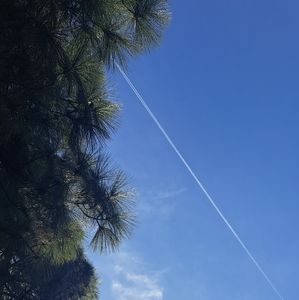 Meet your Posher, Mei